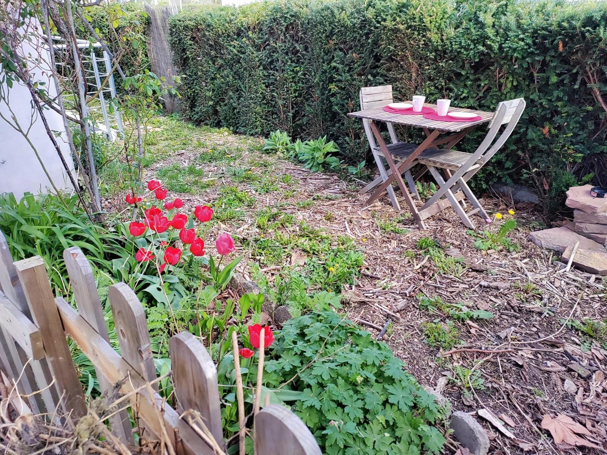 コルマールLes Coquelicots, Calme, Jardinアパートメント エクステリア 写真